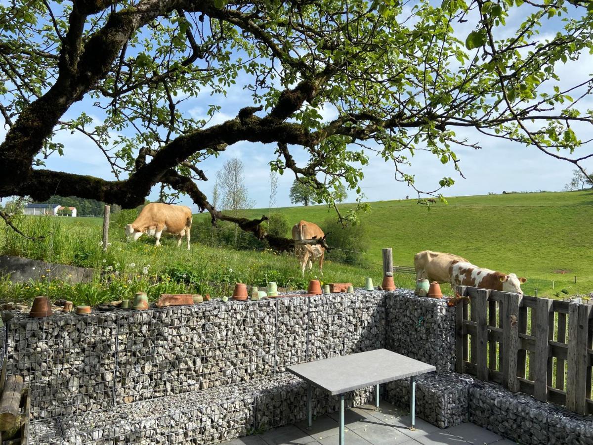 Naturnahe Familienwohnung Ruschegg Exteriör bild