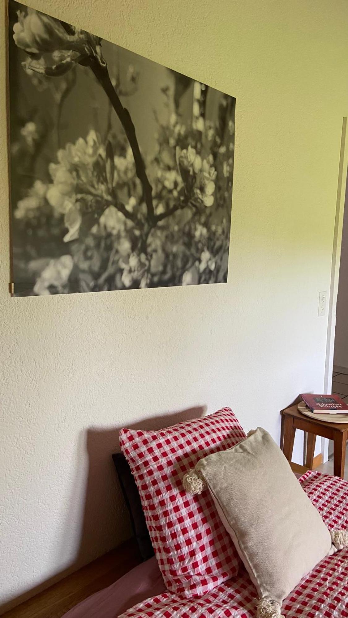 Naturnahe Familienwohnung Ruschegg Exteriör bild