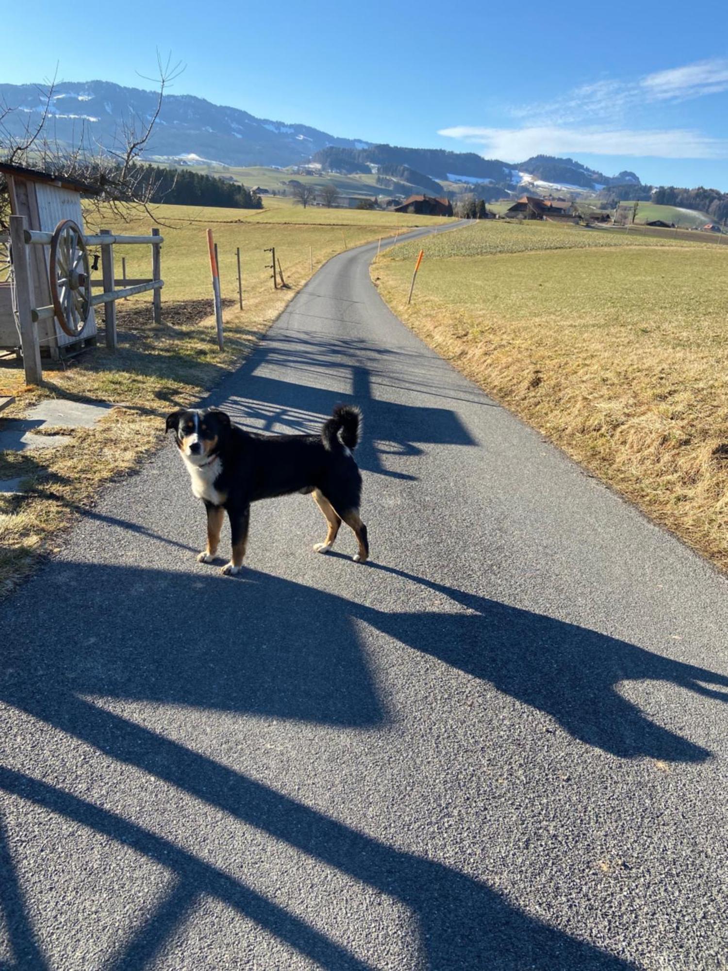 Naturnahe Familienwohnung Ruschegg Exteriör bild
