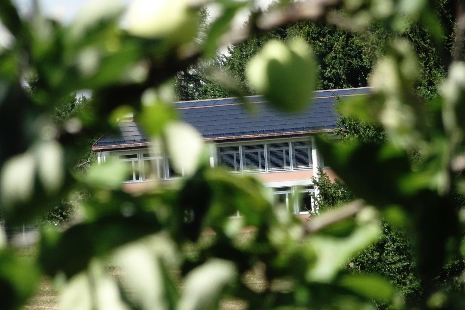 Naturnahe Familienwohnung Ruschegg Exteriör bild