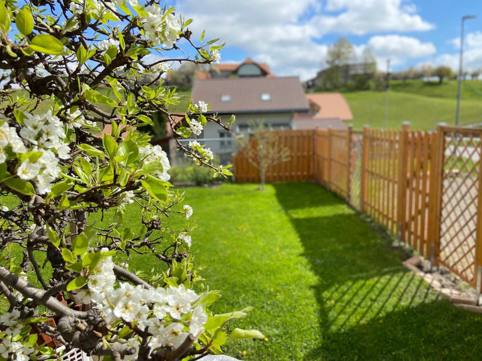 Naturnahe Familienwohnung Ruschegg Exteriör bild